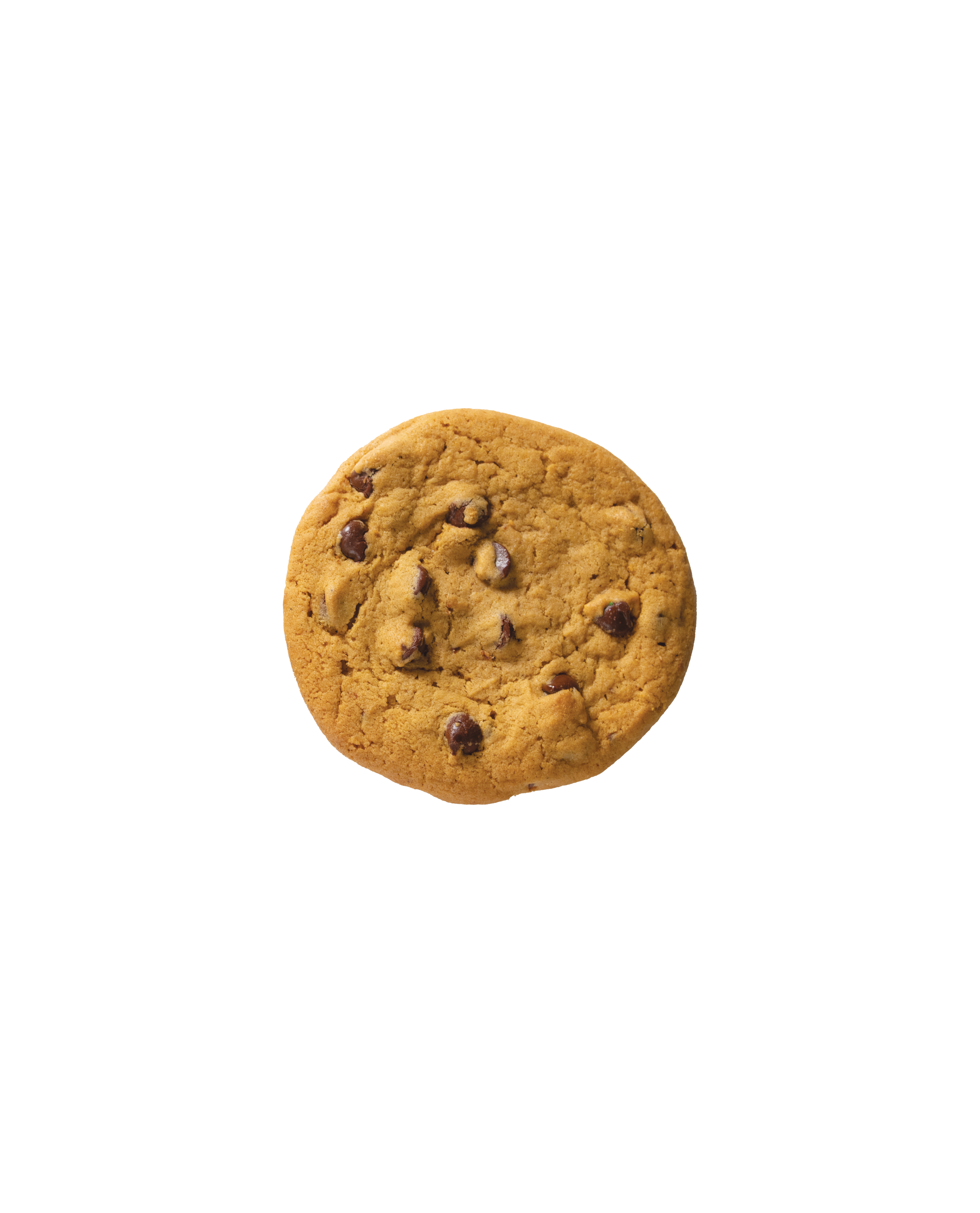 Pumpkin Spice Chocolate Chip Cookie